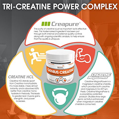 Genius Creatine Powder, Post Workout Supplement For Men and Women with Creapure Monohydrate, Hydrochloride (HCL) MagnaPower and Carnosyn Beta-Alanine SR, Natural Lean Muscle Builder – Sour Apple, 188G