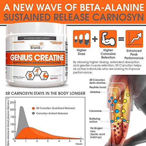 Genius Creatine Powder, Post Workout Supplement For Men and Women with Creapure Monohydrate, Hydrochloride (HCL) MagnaPower and Carnosyn Beta-Alanine SR, Natural Lean Muscle Builder – Sour Apple, 188G